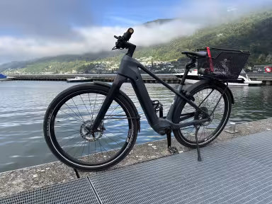 Thömus Longrider E2 M Schwarz Xt Di2
