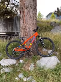 Felt 24 Zoll