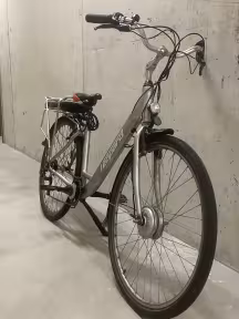Leopard City Bike