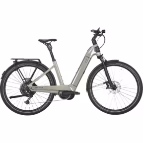 Kettler Alu-Rad Quadriga CX 10