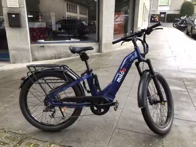 Miloo E-Bike  Classy Beast