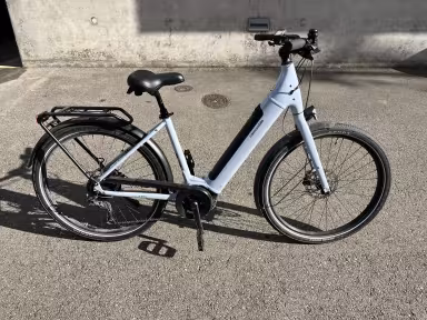 Cannondale Adventure Neo 3.1