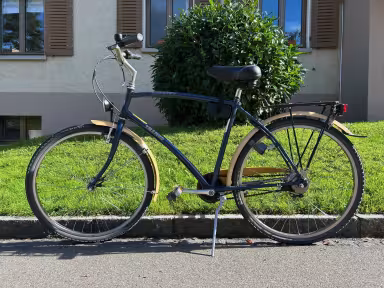 VILLIGER Caprino