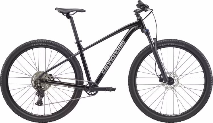 Cannondale 29 U Trail 2