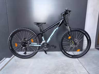 Stevens Team RC 24"