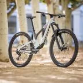 SCOTT Contessa Ransom 910