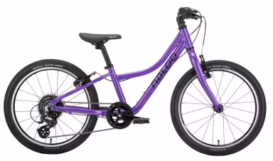 Naloo Chameleon 20"Mk2.1, 8-Speed, Purple Inkl. Stnder