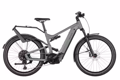Riese & Müller Elektrovelo & Mller Delite4 Gt Touring 51Cm Tundragrey