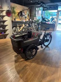 Batavus Fier 3