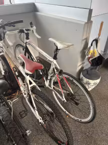 Bixs Sprinter 100