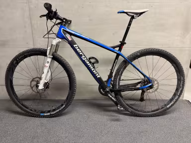 Bergamont Revox