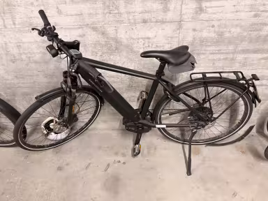 Riese & Müller Roadster 4 Touring