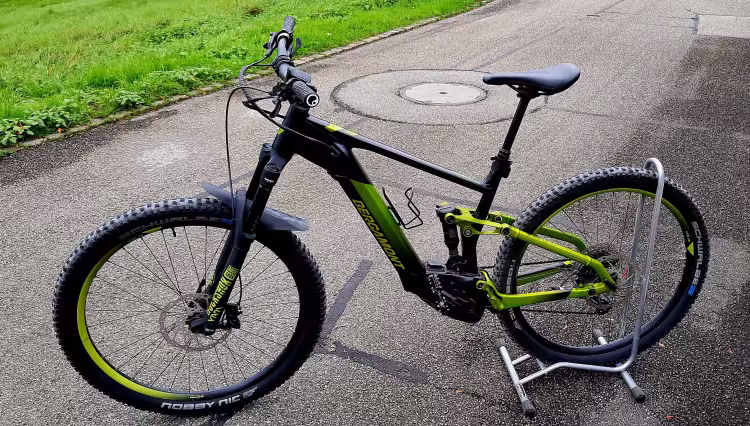 Bergamont E-Trailster Expert