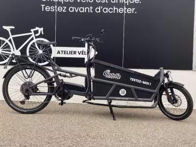 Other Riese & Müller Load 75 Touring