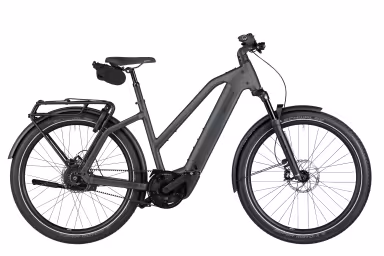 Riese & Müller Charger