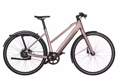 Riese & Müller Ubn Seven 45Cm Vario Ride60 430Wh/Led Hub Rose (Suspension Kitgepcktrgerrahmenschloss)