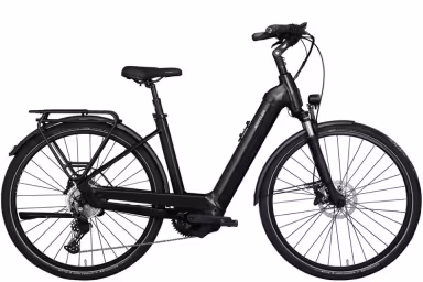 Kettler Alu-Rad Quadriga Comp Cx11