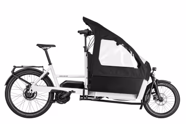 Riese & Müller Transporter2 65 Vario Perf.545Wh/Intuvia100 True White (Box/Kindersitz/Kinderverdeck/Gepcktr./Rx)