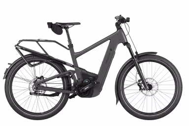 Riese & Müller Delite5 47Cm Gt Pinion 800Wh/Comfort Display Stone Grey (Gepcktrger)
