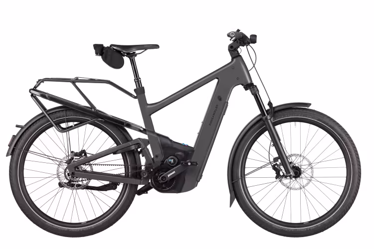 Riese & Müller Delite5 47Cm Gt Pinion 800Wh/Comfort Display Stone Grey (Gepcktrger)