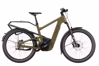 Riese & Müller Delite5 Gt Pinion Hs