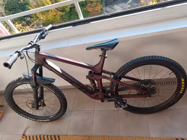TREK Remedy 9.7