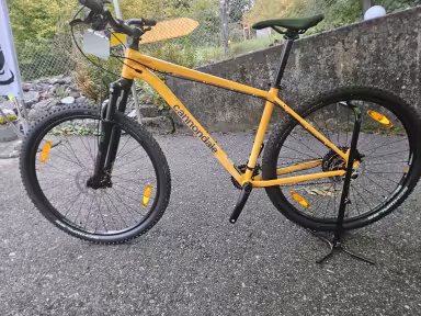 Cannondale Trail 5