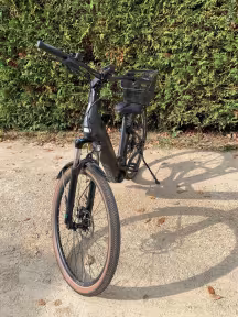 Bulls Crossrider Evo 2 Tiefeinstieg