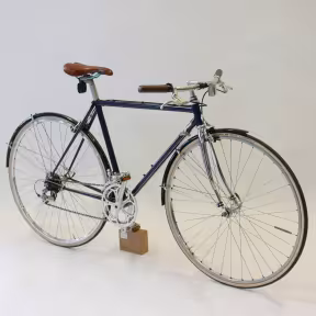 Allegro Cityflitzer