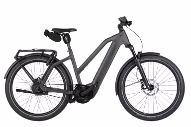 Riese & Müller Charger5 Mixte Vario