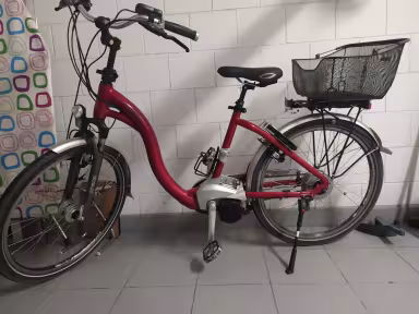 Flyer C Serie Tiefeinsteiger