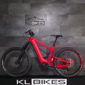 Riese & Müller Delite mountain touring