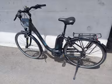 Raleigh Kingston 7 Plus