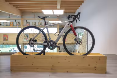 Orbea Gain