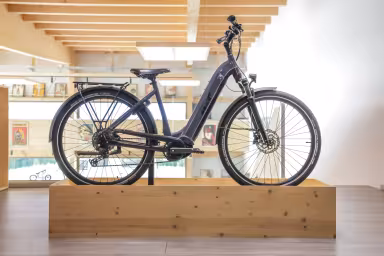 Advanced Ebike Original