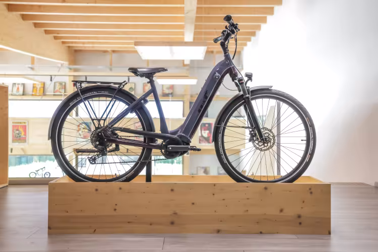 Advanced Ebike Original