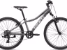Giant XTC JR 24