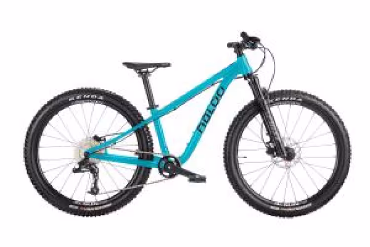 Naloo Hill Bill 24", Mk3, 9-Speed, Turquoise
