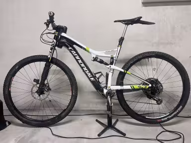 Cannondale Scalpel 29Er Carbon 1