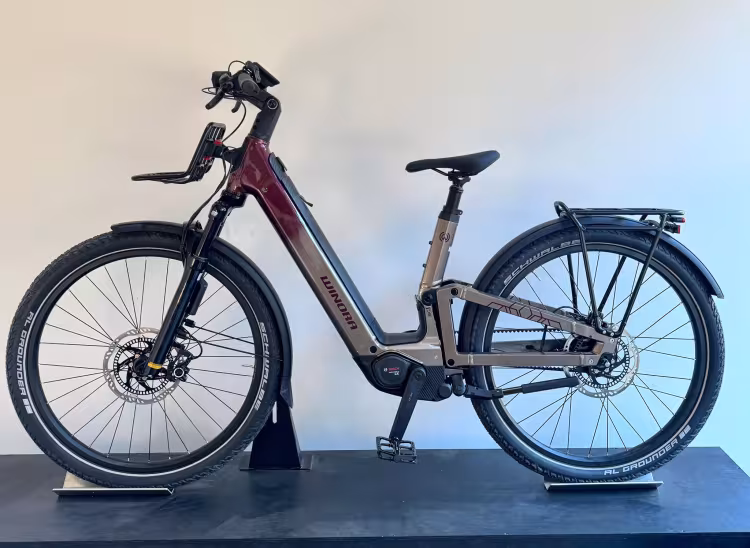 WINORA Sinus Fs R5F Pro