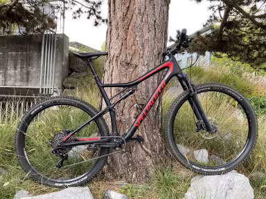 SPECIALIZED Epic