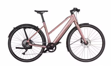 Riese & Müller Ubn 7 Touring