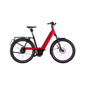 Riese & Müller E-Bike Nevo4 Gt Vario