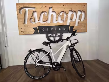 Riese & Müller Roadster