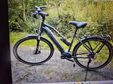 Decathlon Derby Riverside Powertube Bosch