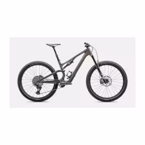 SPECIALIZED Vtt 29'' Stumpjumper 15 Expert