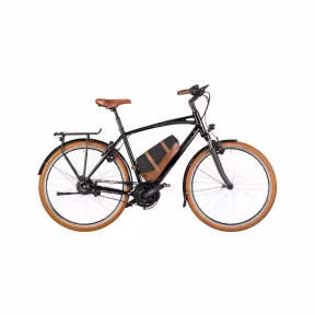 Riese & Müller E-Bike Cruiser2 Vario 25