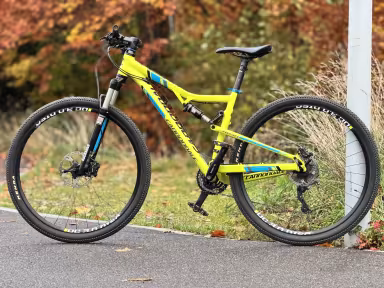 Cannondale Rush 29