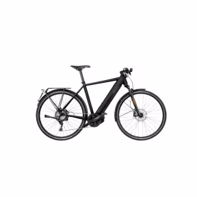 Riese & Müller E-Bike Roadster4 Touring 45