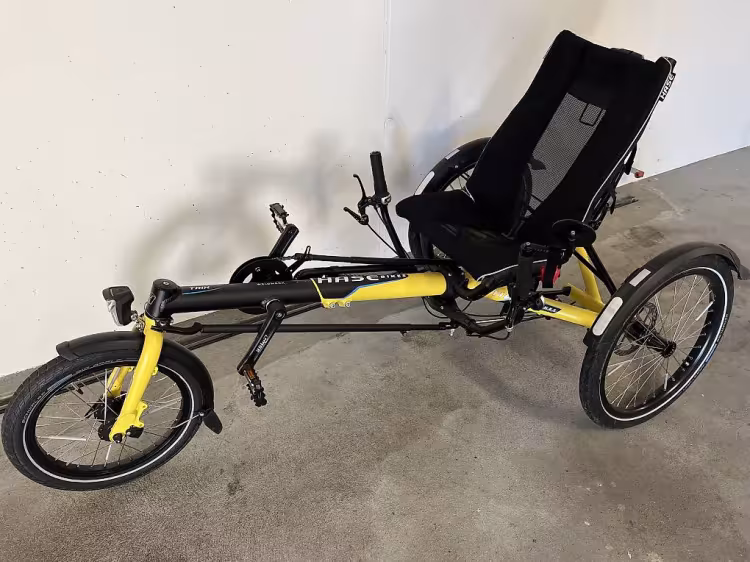 Hase Bikes Trix 3-Rad